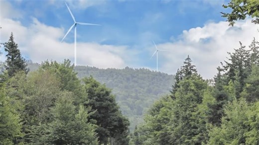 Province’s biggest forestry company seeks N.B. Power exit