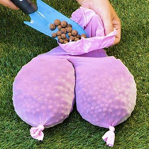 Try these cool gardening hacks and be surprised by the results | 5-Minute Crafts