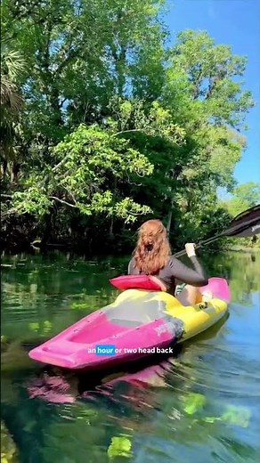 🛶 Some of the Best Orlando Memories Happen Outside Orlando ‪@WekivaIslandfl‬