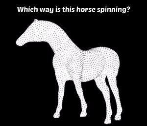 An optical illusion of a spinning horse has left netizens confused. People see it moving in different directions and can't decide who's watching it correctly. What do you think? In which direction is the horse spinning? Clockwise? Or anti-clockwise? The question might appear simple but you'll find it trippy! | News Of Bahrain