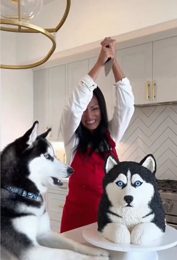 Pet Cake Prank: Hilarious Cat Reactions Captured