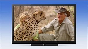 Hulu TV Spot, 'Jack Hanna's Wild Countdown'