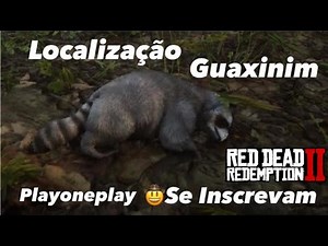 Localização Guaxinim-Americano - Red Dead Redemption 2 - Desafio Diário - XboxOne, Ps4 e Pc!