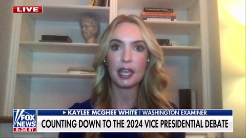 Kaylee McGhee White on Harris reportedly 'underwater' in key swing state: 'Massive problem for her c