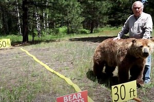 Bear safety: How to use bear spray scenarios and demos you MUST SEE!