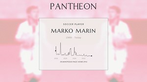 Marko Marin Biography | Pantheon