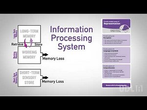 UDL A How to Read the UDL Guidelines