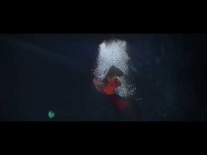 Digital Animation Showcase: Wings