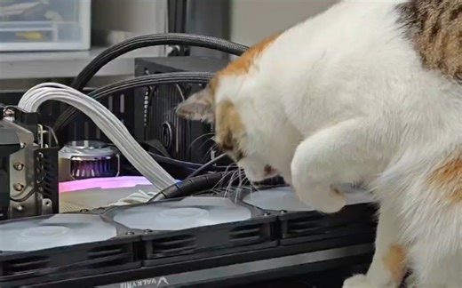 “师傅，你是做什么工作的”