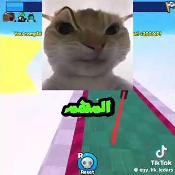 Using a VPN to access Roblox #yasenhazem #اكسبلور#ياسين_حازم