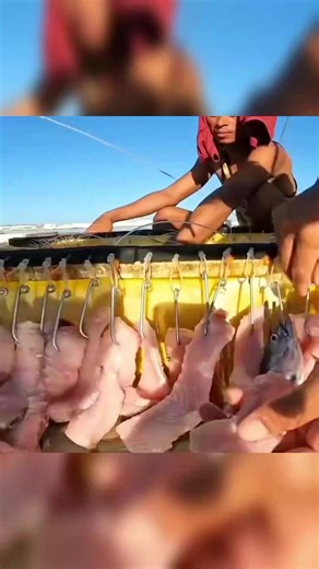 Complete Fish Catching Process Explained