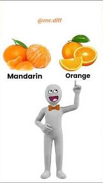Mandarin vs Orange | Can You Tell the Difference? 🍊 #Shorts