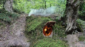 选中林间粗壮大树的隐蔽下方，借助树干天然遮挡，建造舒适庇护所
