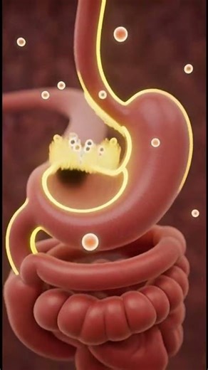 Digestive system 3d animation #animation #digestiveprocess