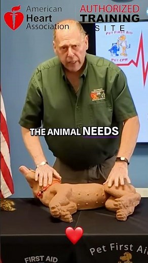Dog CPR: How to Save a Life #shorts