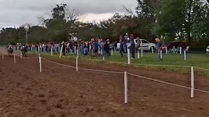 Jga Prodetailing on Reels