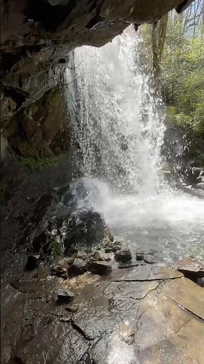 Grotto Falls in the Great Smoky Mountains National Park