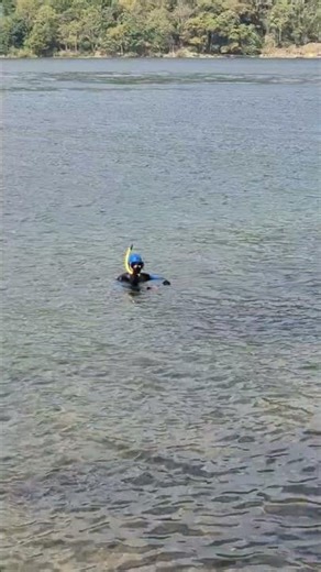 sound 99 jt view, like