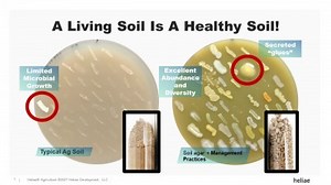 What is the current research about soil additions to help soil biology? | Newswise