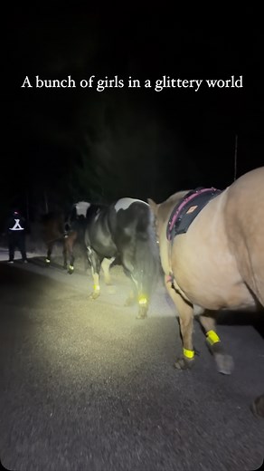 The best kind of company! #justmares #horsesofinstagram #aqha #quarterhorse #quarter #horse #mare #equestrian #younghorse #walking | Celina Fernandez