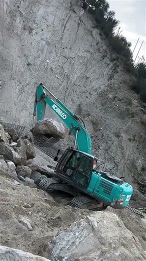 #virralshorts #excavator #heavy# lodning
