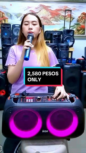 NDR-Q68 Portable Karaoke Bluetooth Speaker Overview