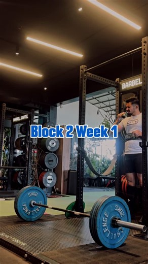 Anand Bharadwaj | 180 kg at RPE 8. Block 2. Peaking phase. Not maxing. Not chasing hype. Just stacking heavy, clean reps so the bar feels light on meet day.... | Instagram