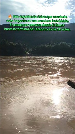 The adventure of returning from Sauce to Tarapoto! 😱🌊🚗