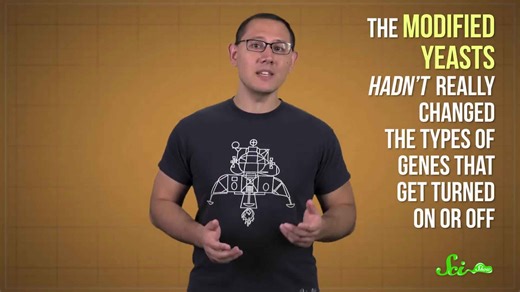 What happens if you fuse all your chromosomes? | SciShow News