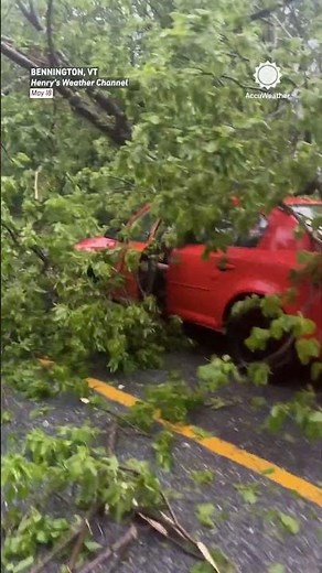Car Crashes Into Tree Right After Storm