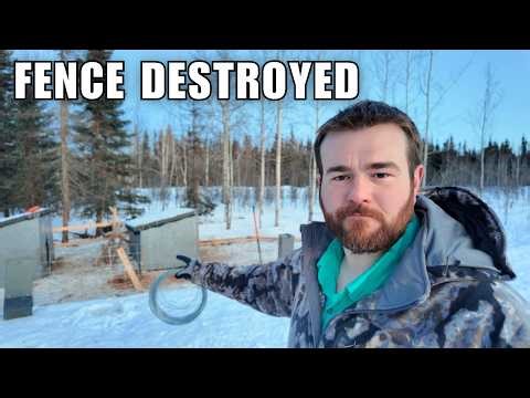 They Finally Broke Through the Fence