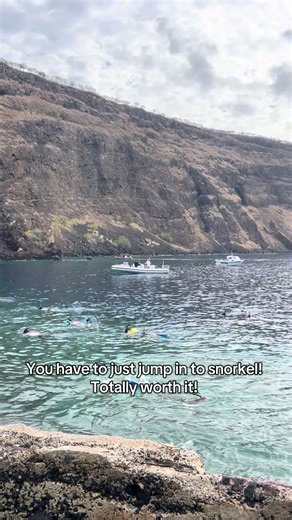 Snorkeling Adventure at Captain Cook's Monument