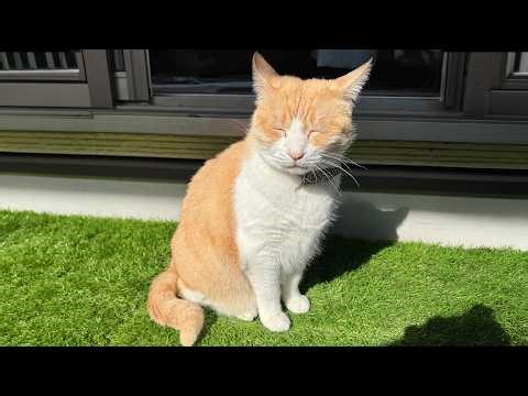 Robin got so into sunbathing that he turned into a total old man.