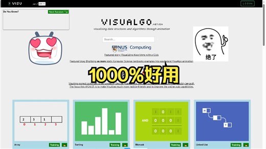 特别好用的编程算法和数据结构动画演示网站，up亲测好用