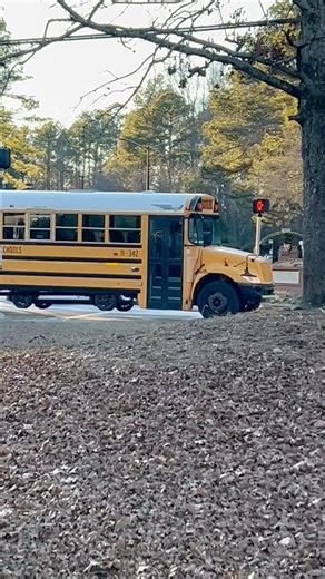 Bus 11-342 2011 ic ce maxxforce dt