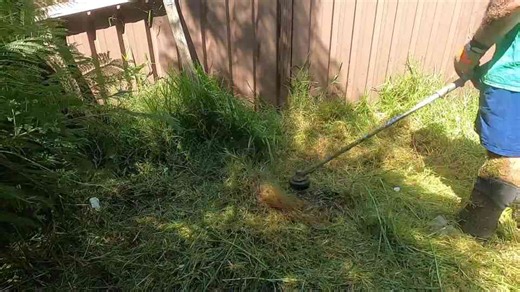 Fantastic Yard Rescue - And We Charged Them Nothing