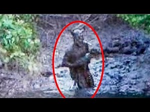 5 FOREIGN AND FLIPPANT CREATURES CAPTURED IN VIDEO