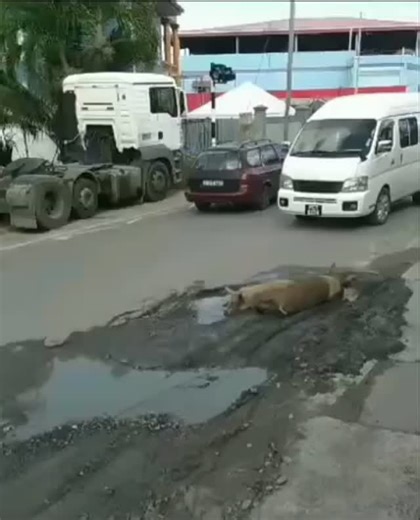 lando zawawi lvr on Instagram: "Mohon bagi laluan"