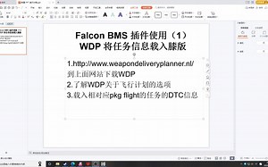 Falcon BMS小技巧WDP