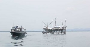 About 50 illegal 'bagang' identified off Tawau waters | New Straits Times