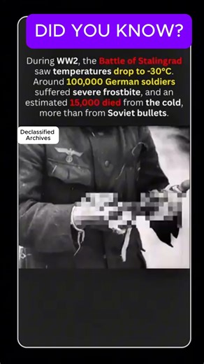 84K views · 629 reactions | WW2 Soldiers lost their fingers due to frostbite in the Battle of Stalingrad #facts #DidYouKnow #ww2 #shortsreels | Declassified Archives | Facebook