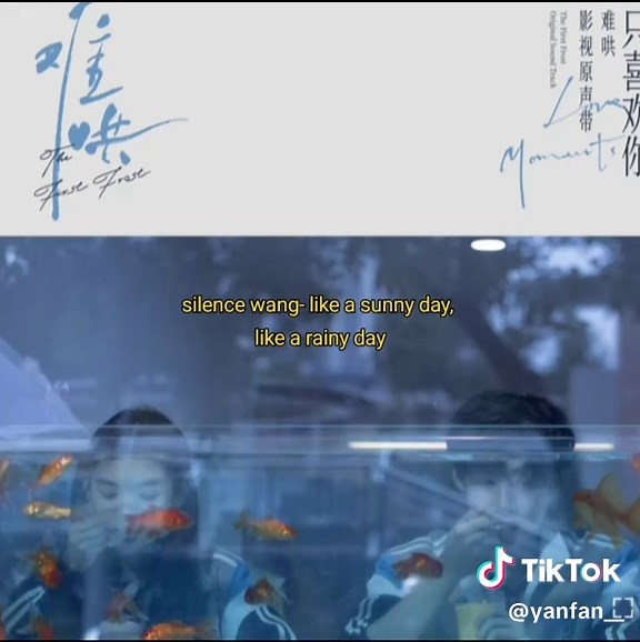 Top Original Soundtracks from The First Frost Drama