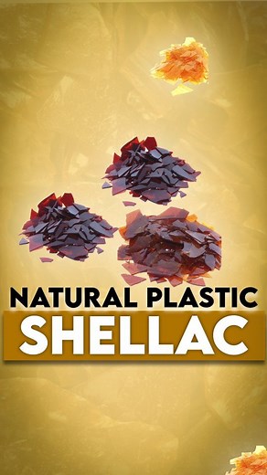 Aarushi Rawat | Infotainment on Instagram: "Shellac: Eco-Friendly Natural Plastic🌿 Learn about Shellac ("Lakh") the material used in making Lakshagrah in Mahabharat: ●"Lakh" refers to Shellac, a natural resin secreted by the Kerria Lacca insect. ●It takes approximately 1 lakh insects to produce just 1 kg of Shellac, hence they're called "Lac bugs." ●Shellac serves as a natural glue and clear coating, non-toxic and biodegradable. ●Used widely for high gloss finishes on leather, furniture,