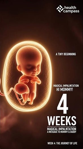 Life at 4 Weeks: Inside the Womb! 🤰✨ #pregnancyjourney