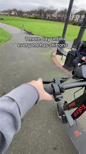 Understanding the Shitron Phenomenon