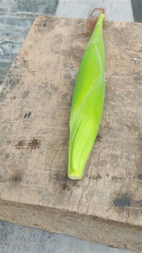 #farming # #natualrurallife #rurallife #vegetables #garden #rogator #short