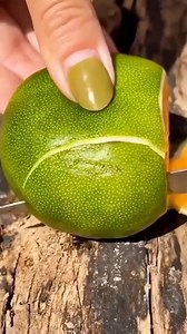 Awesome fruit videos compilation for you 🍇 🍉 😲. | Unique world