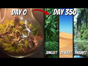 Closed jar ecosystem | terrarium in jar sealed for a year