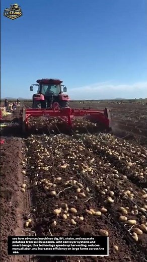 this is how modern potato harvesting machines really work