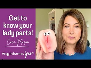 What does a vulva/vagina look like?!